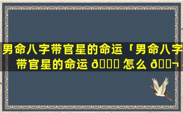 男命八字带官星的命运「男命八字带官星的命运 🐎 怎么 🐬 样」